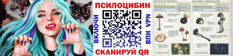 Галлюциногенные грибы Psilocybe  Купить  Николаевск 