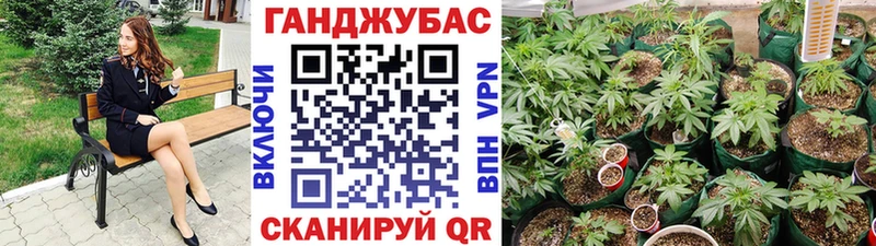 Купить закладки  Николаевск  Конопля LSD WEED 